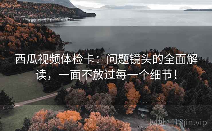 西瓜视频体检卡：问题镜头的全面解读，一面不放过每一个细节！