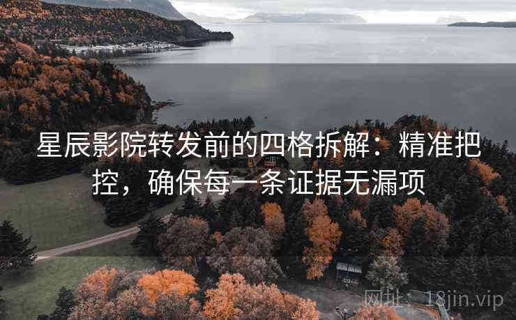 星辰影院转发前的四格拆解：精准把控，确保每一条证据无漏项